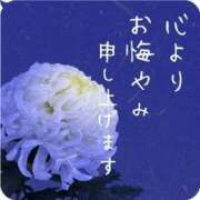 ヒメ日記 2026/07/27 16:38 投稿 かなめ 東京妻