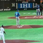 ヒメ日記 2026/10/11 14:28 投稿 いちか 東京妻