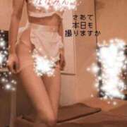 ヒメ日記 2026/03/06 09:08 投稿 ななみ 東京妻