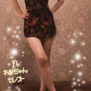 ヒメ日記 2026/03/17 11:35 投稿 ななみ 東京妻