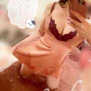 ヒメ日記 2025/03/24 23:22 投稿 すずか お姉京都