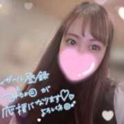 ヒメ日記 2025/06/29 10:52 投稿 すずか お姉京都