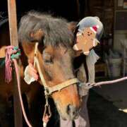 ヒメ日記 2024/12/20 22:44 投稿 月原まみ イマジン東京