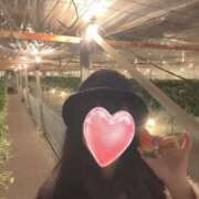 ヒメ日記 2025/02/04 00:11 投稿 いずみ 奥様電車