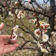 ヒメ日記 2025/03/13 10:41 投稿 いずみ 奥様電車