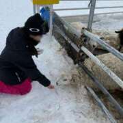 ヒメ日記 2025/03/26 11:47 投稿 いずみ 奥様電車