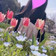 ヒメ日記 2025/04/10 08:06 投稿 いずみ 奥様電車