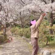 ヒメ日記 2025/04/13 09:10 投稿 いずみ 奥様電車