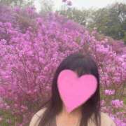 ヒメ日記 2025/04/18 16:30 投稿 いずみ 奥様電車