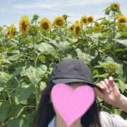 ヒメ日記 2025/06/19 14:23 投稿 いずみ 奥様電車