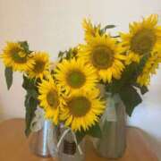 ヒメ日記 2025/06/20 15:55 投稿 いずみ 奥様電車