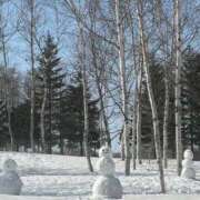 ヒメ日記 2026/03/25 12:28 投稿 いずみ 奥様電車