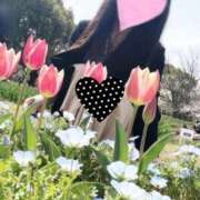 ヒメ日記 2026/04/04 11:11 投稿 いずみ 奥様電車