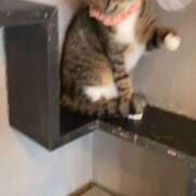 ヒメ日記 2024/12/18 15:46 投稿 沖田 昼顔妻 五反田店