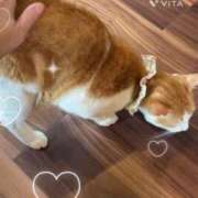 ヒメ日記 2025/01/10 17:44 投稿 沖田 昼顔妻 五反田店