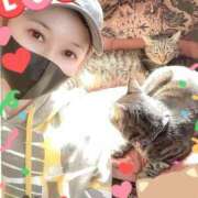 ヒメ日記 2025/03/07 16:56 投稿 沖田 昼顔妻 五反田店