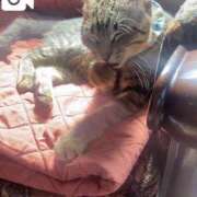 ヒメ日記 2025/03/07 17:46 投稿 沖田 昼顔妻 五反田店