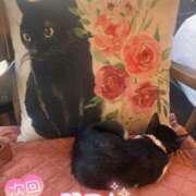 ヒメ日記 2025/03/09 21:16 投稿 沖田 昼顔妻 五反田店