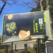 ヒメ日記 2025/03/10 13:46 投稿 沖田 昼顔妻 五反田店