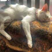 ヒメ日記 2025/03/10 21:36 投稿 沖田 昼顔妻 五反田店