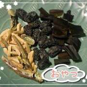 ヒメ日記 2025/03/16 15:06 投稿 沖田 昼顔妻 五反田店