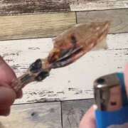 ヒメ日記 2025/03/23 19:06 投稿 沖田 昼顔妻 五反田店