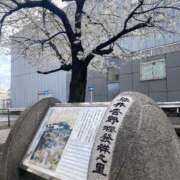 ヒメ日記 2025/03/28 15:26 投稿 沖田 昼顔妻 五反田店