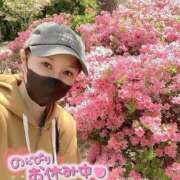 ヒメ日記 2025/04/17 15:46 投稿 沖田 昼顔妻 五反田店