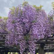 ヒメ日記 2025/04/21 11:46 投稿 沖田 昼顔妻 五反田店