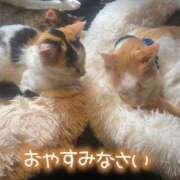 ヒメ日記 2025/04/21 22:36 投稿 沖田 昼顔妻 五反田店