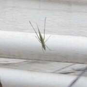 ヒメ日記 2025/04/25 18:26 投稿 沖田 昼顔妻 五反田店