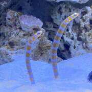 ヒメ日記 2025/05/01 14:06 投稿 沖田 昼顔妻 五反田店