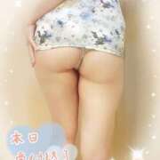 ヒメ日記 2025/11/14 10:16 投稿 沖田 昼顔妻 五反田店