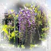 ヒメ日記 2026/04/12 14:06 投稿 沖田 昼顔妻 五反田店