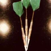 ヒメ日記 2025/10/19 01:22 投稿 のん 京王線エクスプレス9999