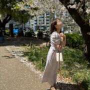 ヒメ日記 2025/04/10 18:28 投稿 あんり 秘書室(吉原)