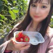 ヒメ日記 2026/03/24 20:30 投稿 あんり 秘書室(吉原)