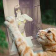 けいこ さぁ、言おう！ 熟女の風俗最終章 本厚木店