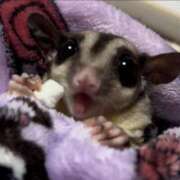 ヒメ日記 2025/02/03 22:36 投稿 ちかさん いけない奥さん 梅田店