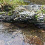 ヒメ日記 2025/08/14 07:46 投稿 ちかさん いけない奥さん 梅田店