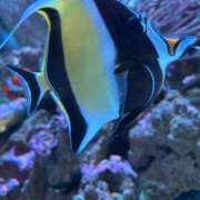 ヒメ日記 2026/04/17 07:18 投稿 ちかさん いけない奥さん 梅田店