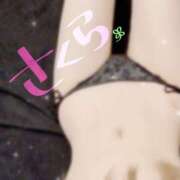 ヒメ日記 2024/12/14 21:46 投稿 さくら 千葉女学園