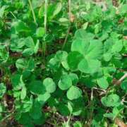 ヒメ日記 2025/02/27 03:50 投稿 さくら 千葉女学園