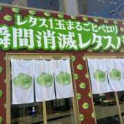 ヒメ日記 2026/02/20 14:54 投稿 いろは 桃色奥様 松戸本店