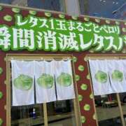 ヒメ日記 2026/08/14 13:18 投稿 いろは 桃色奥様 松戸本店