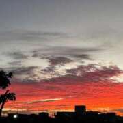 ヒメ日記 2025/01/24 10:07 投稿 唯（ゆい） 男爵