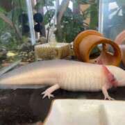 ヒメ日記 2025/01/25 18:22 投稿 唯（ゆい） 男爵