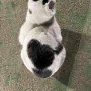 ヒメ日記 2025/02/01 19:45 投稿 唯（ゆい） 男爵