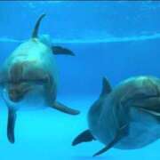 ヒメ日記 2025/02/27 22:38 投稿 唯（ゆい） 男爵