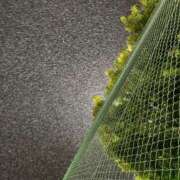 ヒメ日記 2025/03/07 16:46 投稿 唯（ゆい） 男爵